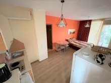 Miniaturka