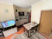 Miniaturka
