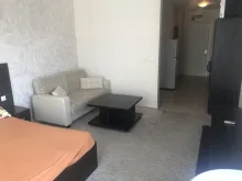 Miniaturka