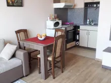 Miniaturka