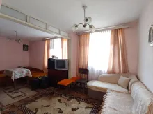 Miniaturka