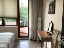 Miniaturka
