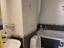 Miniaturka