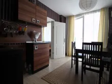 Miniaturka