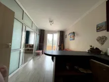 Miniaturka