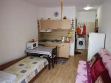 Miniaturka