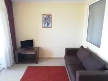 Miniaturka