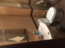 Miniaturka