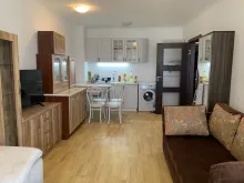 Miniaturka