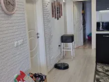Miniaturka