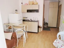 Miniaturka