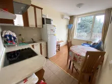 Miniaturka