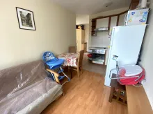 Miniaturka