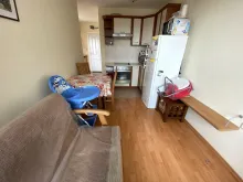 Miniaturka