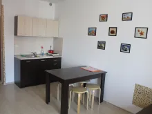 Miniaturka
