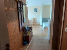 Miniaturka