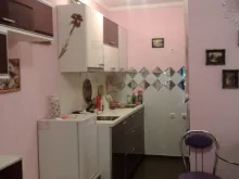 Miniaturka