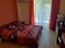 Miniaturka