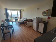 Miniaturka