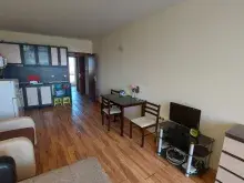 Miniaturka
