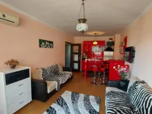 Miniaturka