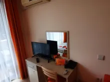 Miniaturka