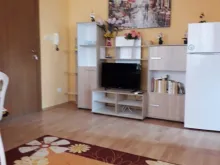 Miniaturka