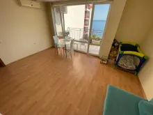 Miniaturka