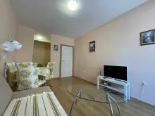 Miniaturka