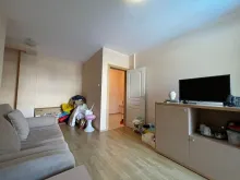 Miniaturka
