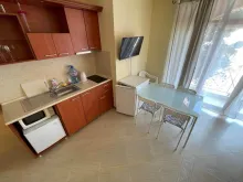 Miniaturka