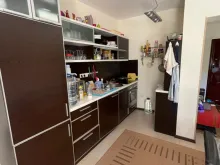 Miniaturka