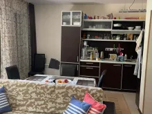 Miniaturka