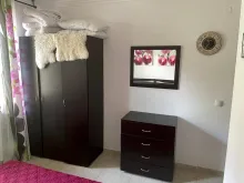 Miniaturka