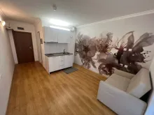 Miniaturka