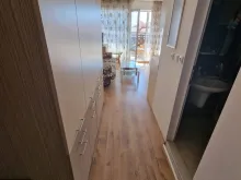 Miniaturka