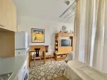 Miniaturka