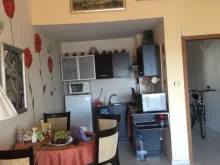 Miniaturka
