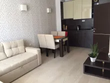 Miniaturka
