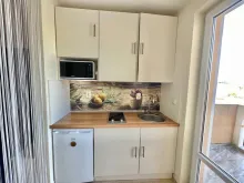Miniaturka