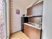 Miniaturka