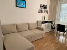 Miniaturka