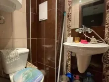 Miniaturka