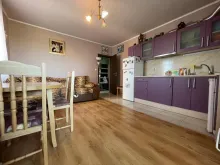 Miniaturka