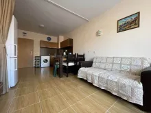 Miniaturka