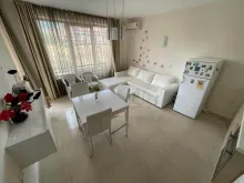 Miniaturka