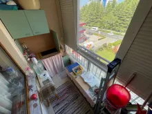 Miniaturka