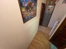 Miniaturka