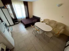 Miniaturka