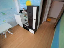 Miniaturka